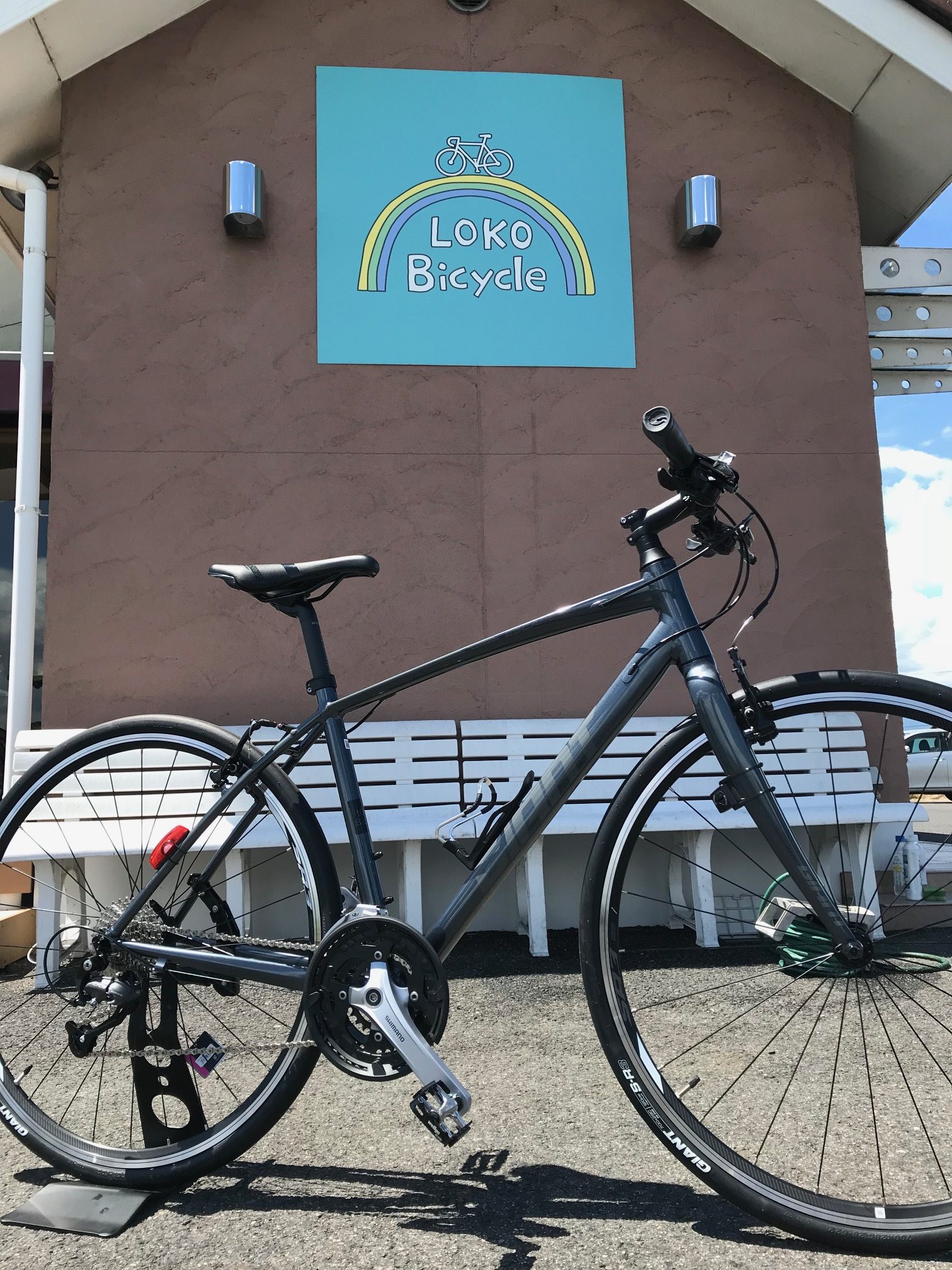 8/13 GIANT ESCAPE RX2 2019 | LOKO Bicycle